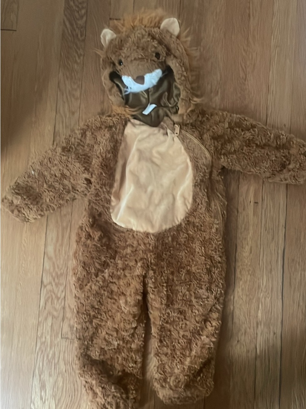 Kids Brown Lion Costume with Hood - Plush One-Piece